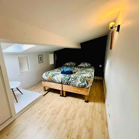 Grand T3 Standing En Hypercentre Apartment *