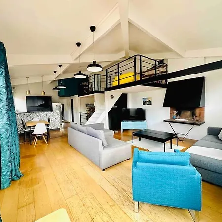 Grand T3 Standing En Hypercentre Toulouse